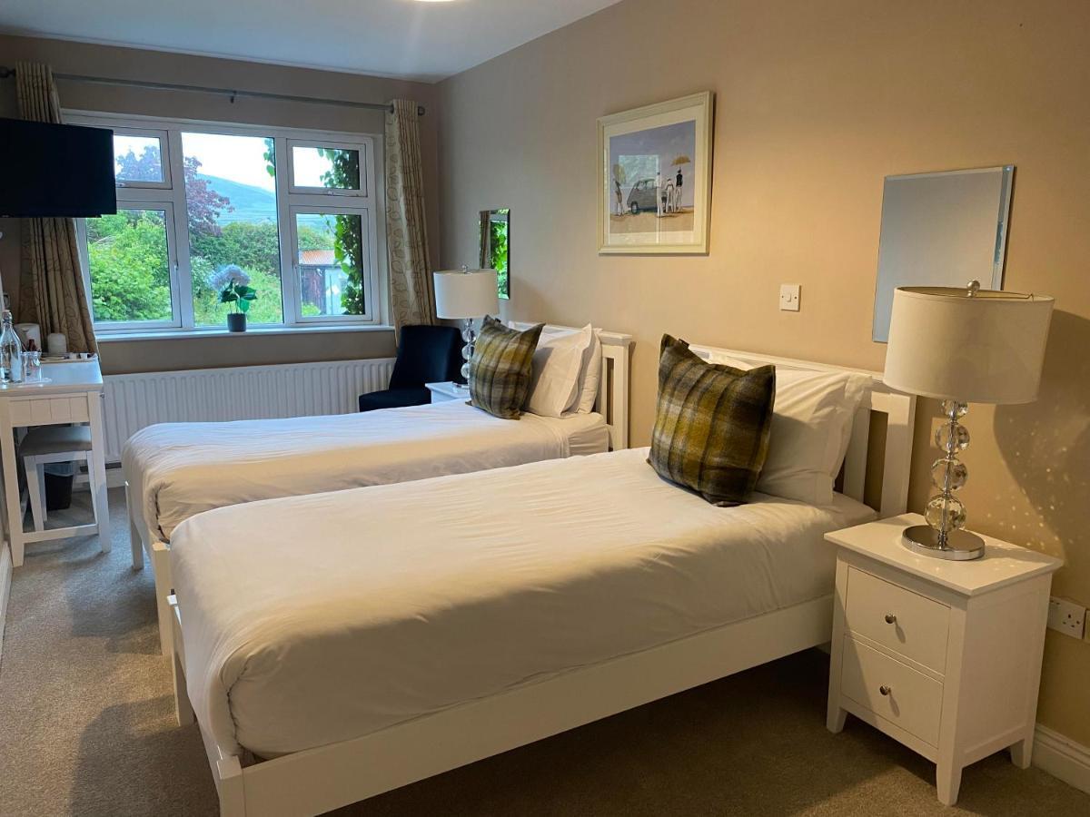 The Lantern Townhouse Bed and Breakfast Dingle Eksteriør billede