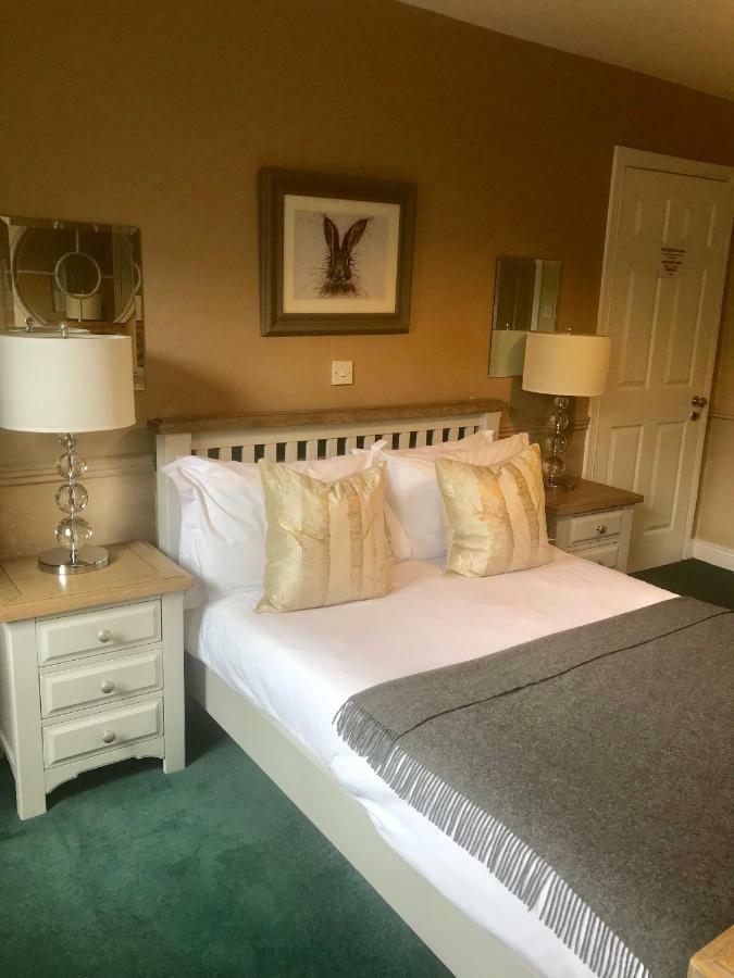 The Lantern Townhouse Bed and Breakfast Dingle Eksteriør billede